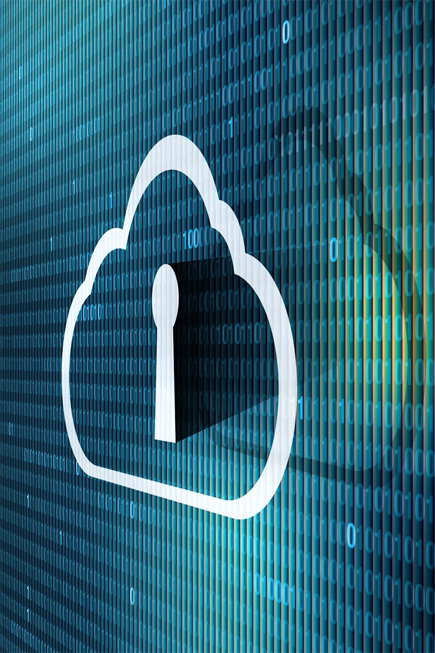 Intellectual Property Management, Domain Expiration Tracking, Auditing, IT organization charting and mapping, IT policies and procedures assistance, IT budgeting, IT System Auditing, & IT Security Testing