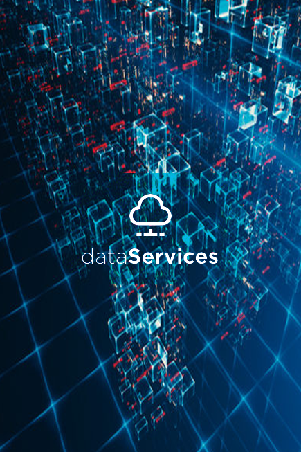 Data Recovery, Data Protection and Redundancy Support & Multiple Backup Solutions. Disaster Planning & Recovery.